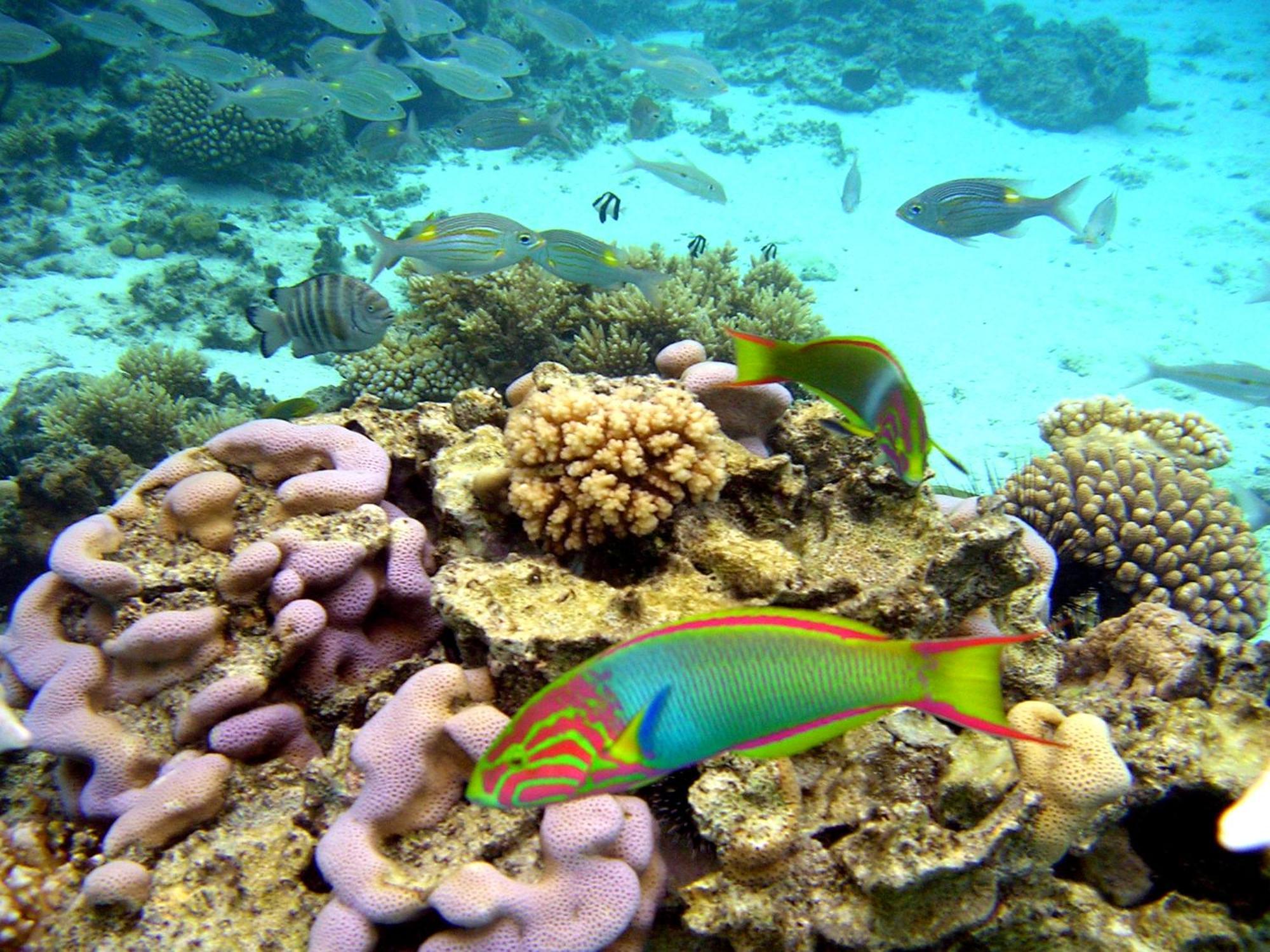 Sanctuary Rarotonga On The Beach (Adults Only) Экстерьер фото