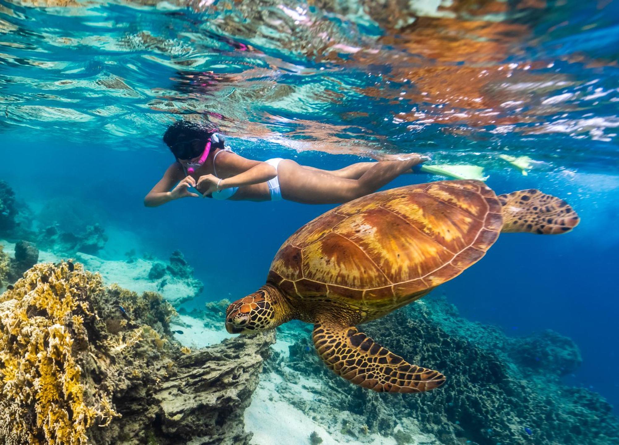 Sanctuary Rarotonga On The Beach (Adults Only) Экстерьер фото