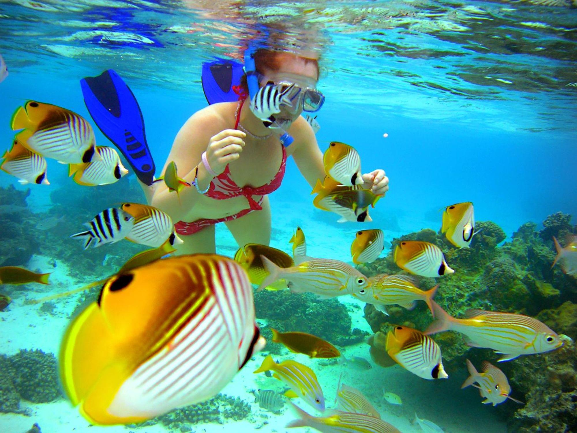 Sanctuary Rarotonga On The Beach (Adults Only) Экстерьер фото
